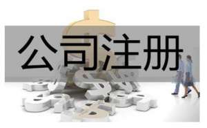 注册公司时可以选择哪些类型