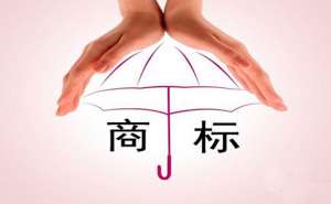 在宣城商标注册的费用取决于哪些？