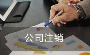 在宣城注销公司如何进行登报？