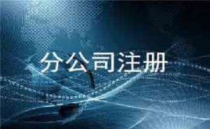 在宣城注册分公司的流程是怎样的