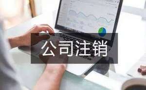 在宣城公司注销补缴税及被罚款的情况有哪些
