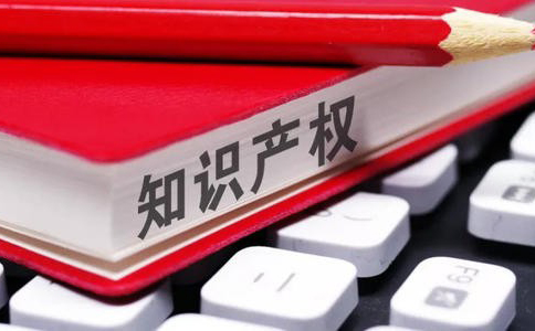 专利被侵权后如何维护?