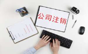 在宣城公司标准注销的流程会是怎样的