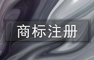 在宣城注册商标有哪些限制和规定要遵守？