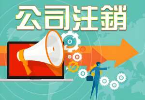 宣城注销公司需要准备哪些详细材料？